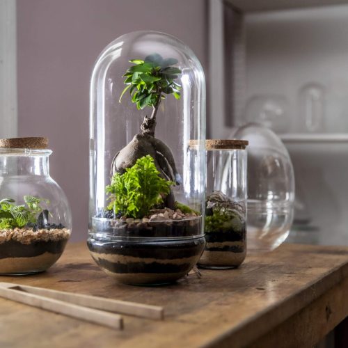 0. PANORÁMICA TERRARIOS