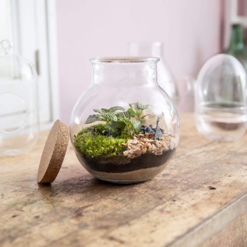 1. BALL Fitonia Blanca 3